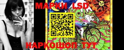 альфа пвп Заводоуковск