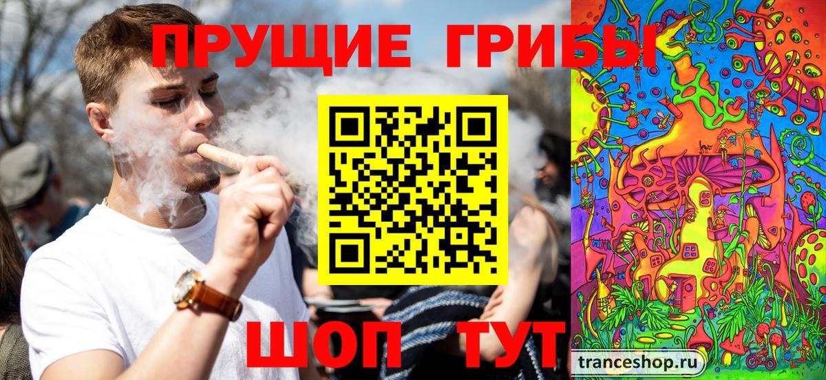 Каменск-Шахтинский  Галлюциногенные грибы Psilocybe  Вход с VPN  Галлюциногенные грибы GOLDEN TEACHER 